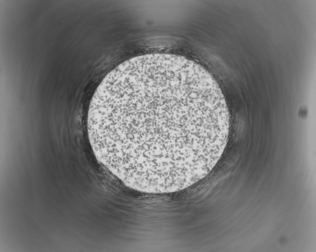 X0000116621394201001221330