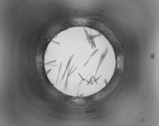 X0000116621395201001221330