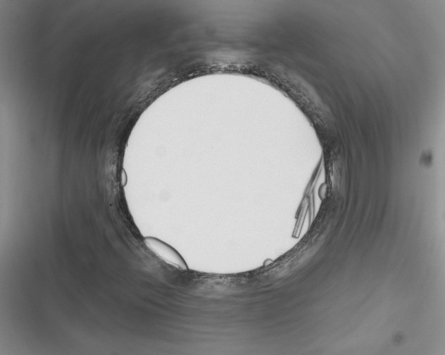 X0000116621396201001221330