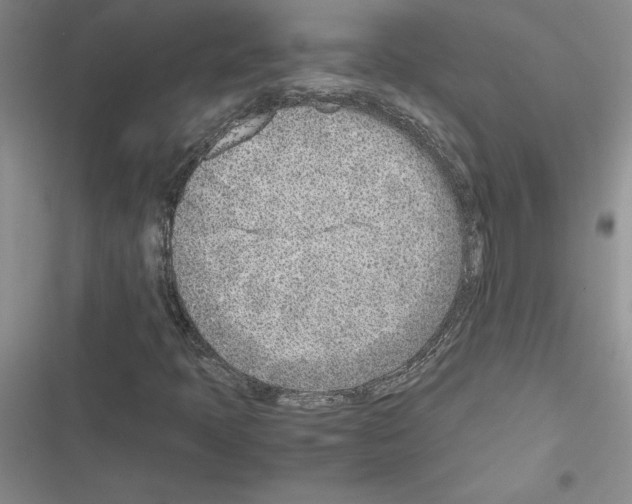 X0000116621397201001221330