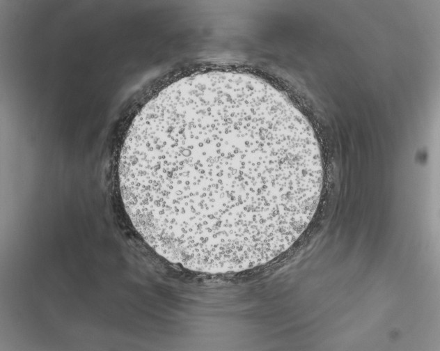 X0000116621398201001221330