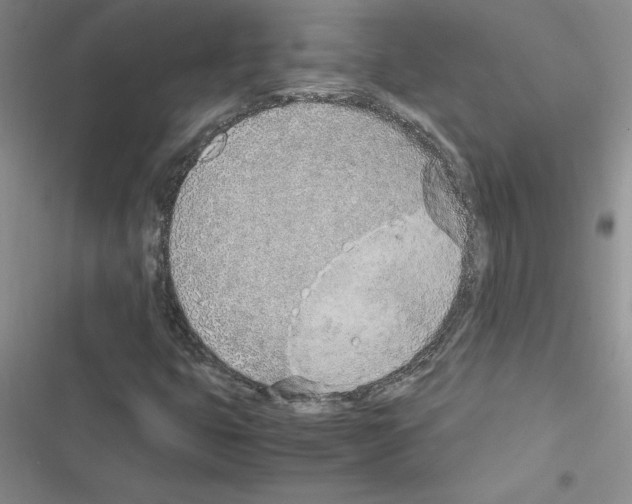 X0000116621399201001221330