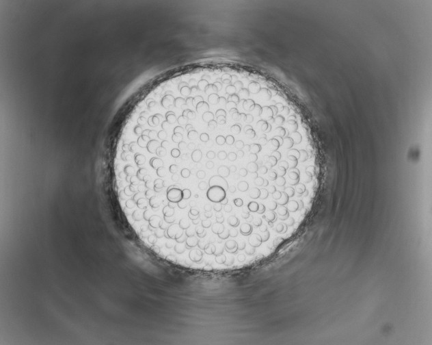 X0000116621400201001221330