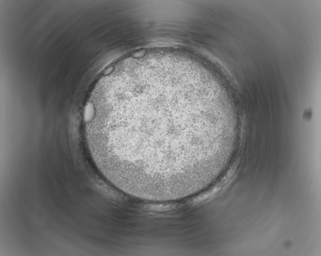 X0000116621401201001221330