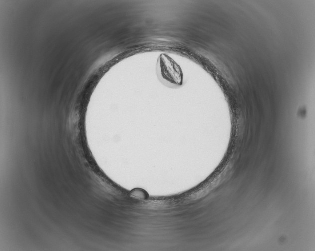 X0000116621402201001221330