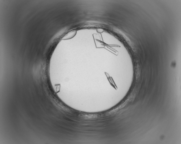 X0000116621403201001221330