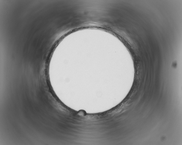 X0000116621404201001221330