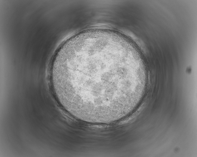 X0000116621405201001221330