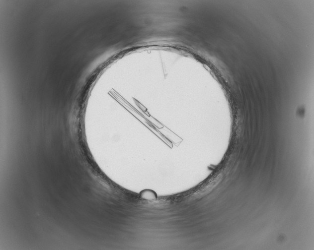 X0000116621406201001221330