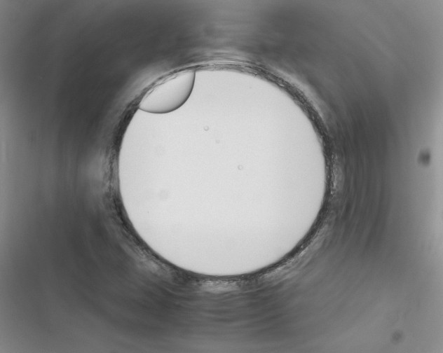 X0000116621407201001221330