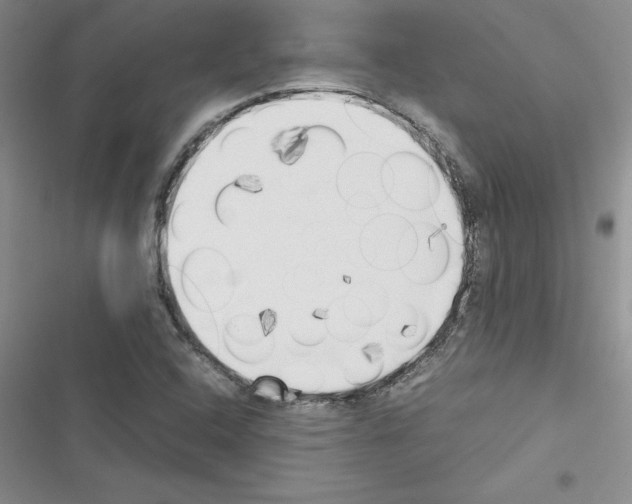 X0000116621408201001221330