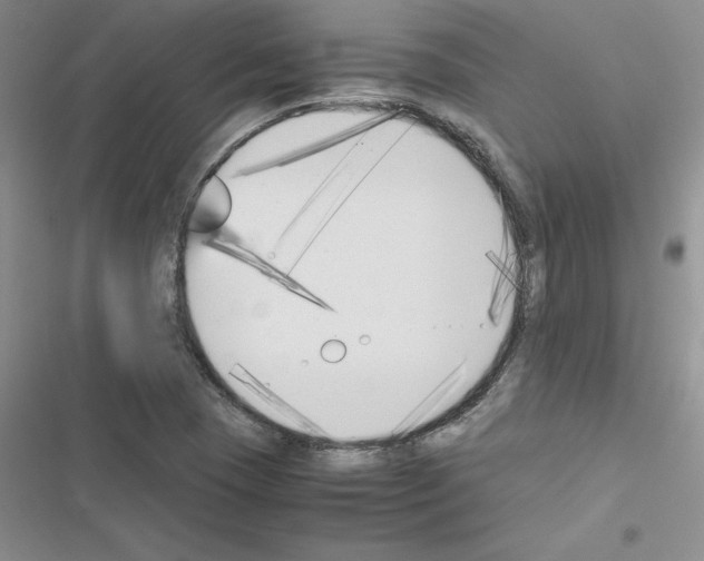 X0000116621409201001221330