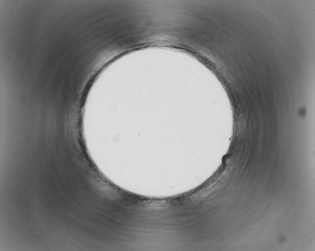 X0000116621410201001221330