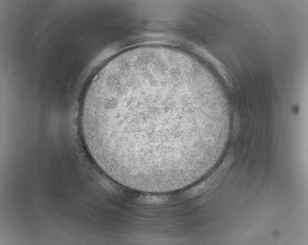 X0000116621411201001221330