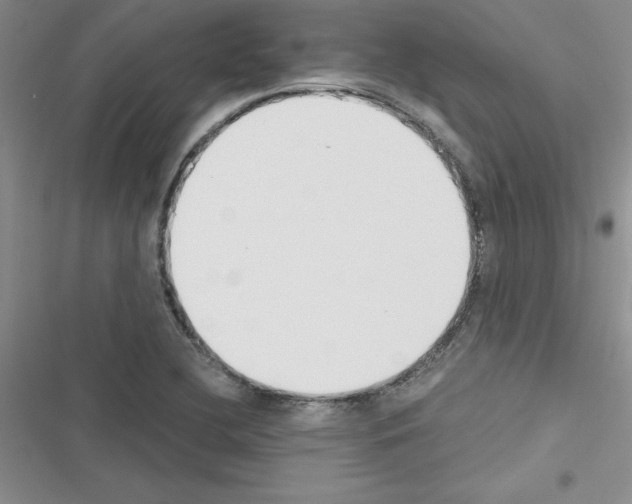 X0000116621412201001221330