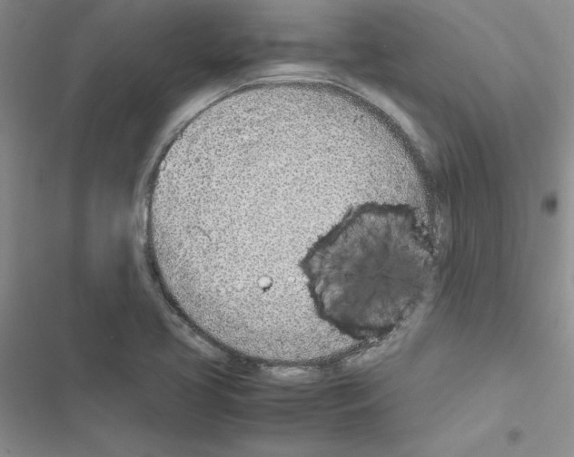 X0000116621413201001221330