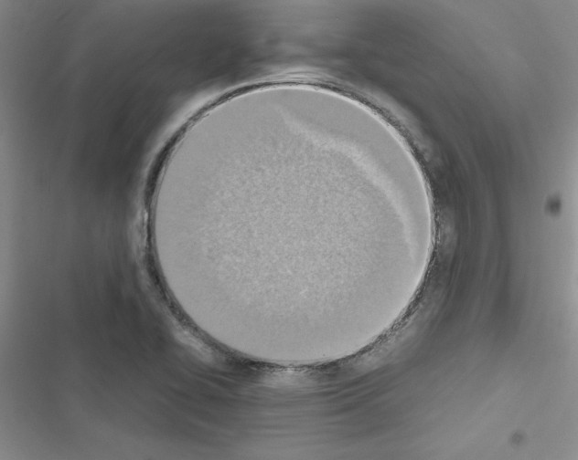 X0000116621414201001221330