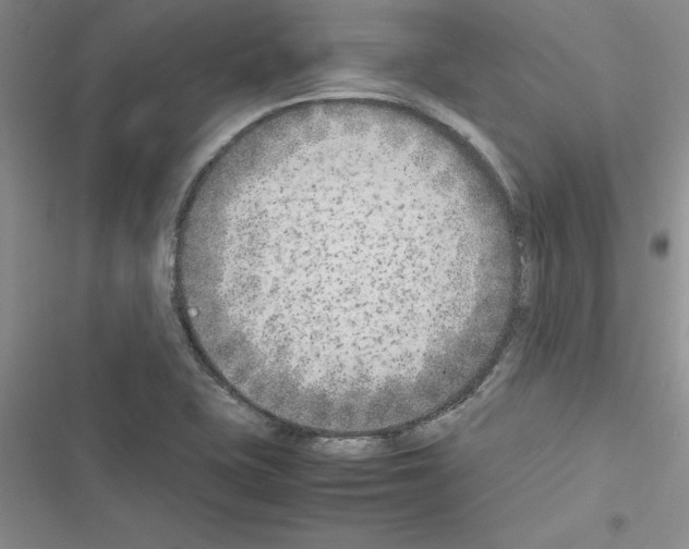 X0000116621415201001221330