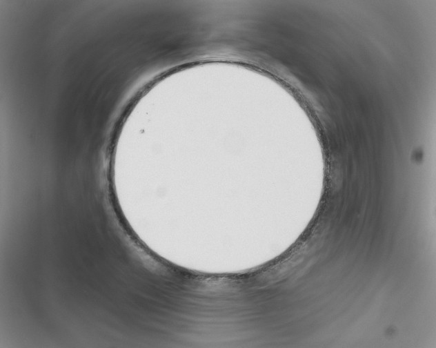 X0000116621416201001221330