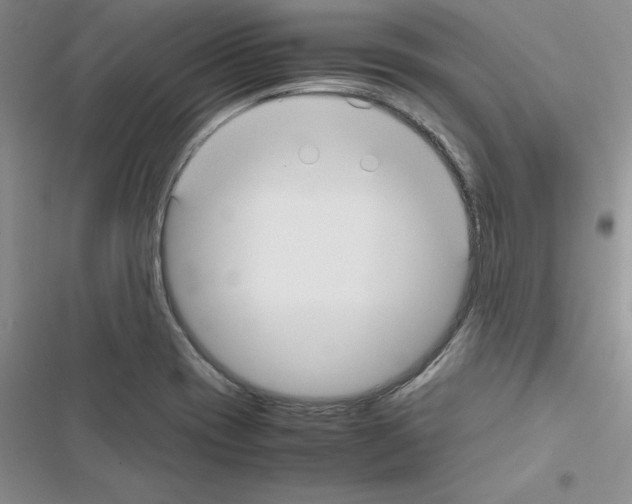 X0000116621417201001221330