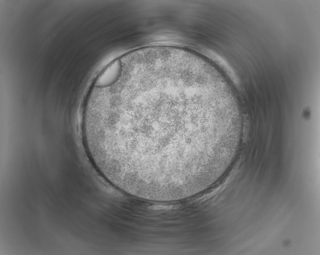 X0000116621419201001221330