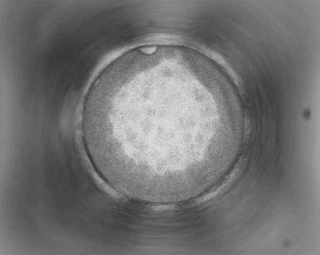 X0000116621421201001221330