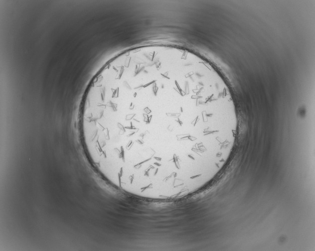 X0000116621423201001221330