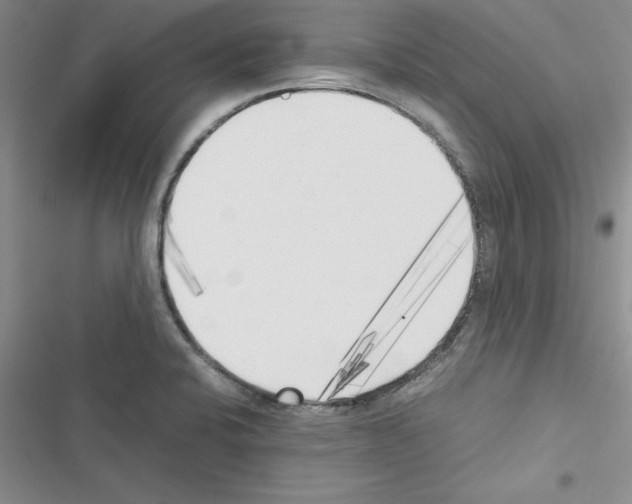 X0000116621424201001221330