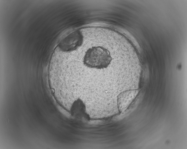 X0000116621425201001221330