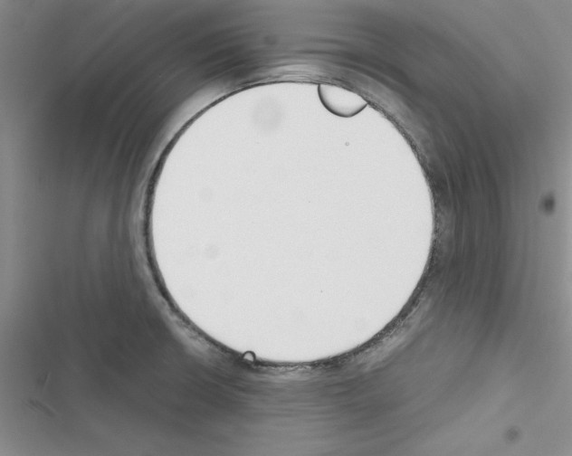 X0000116621426201001221330