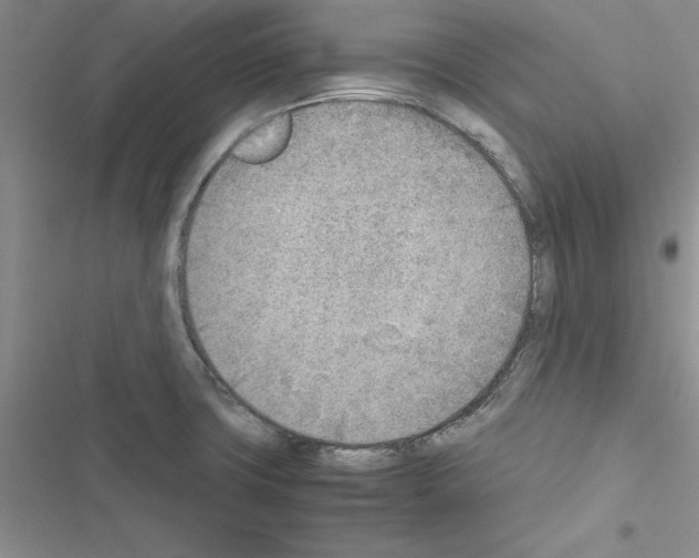 X0000116621427201001221330