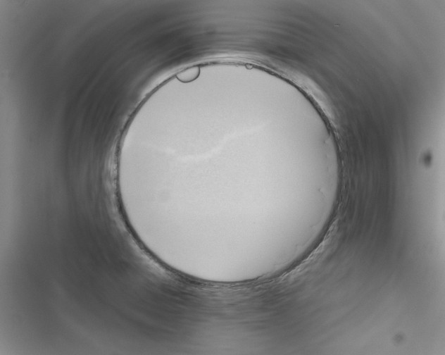 X0000116621428201001221330