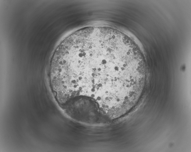 X0000116621429201001221330