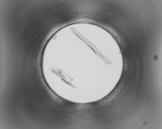 X0000116621430201001221330