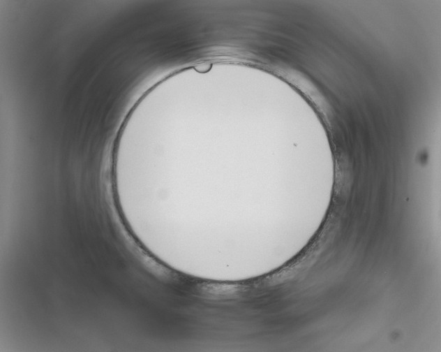 X0000116621431201001221330