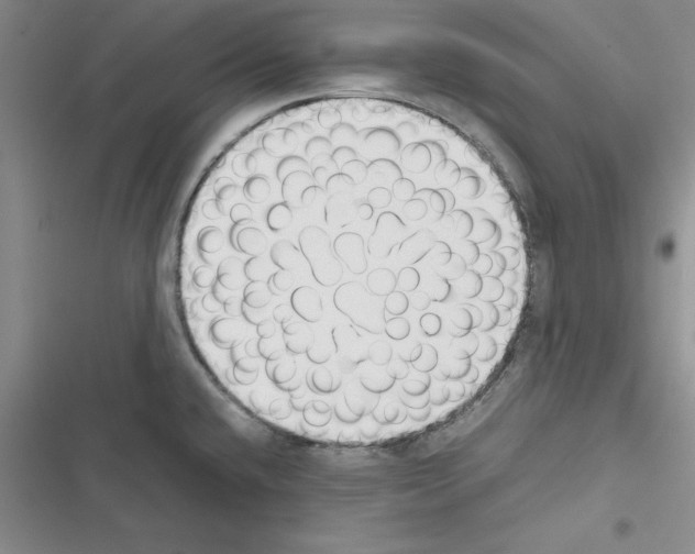 X0000116621432201001221330