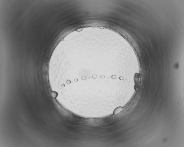 X0000116621433201001221330