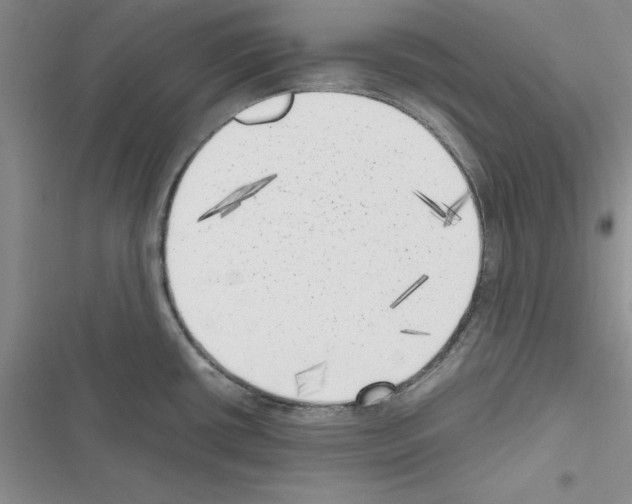 X0000116621434201001221330