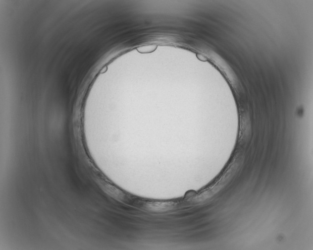 X0000116621435201001221330