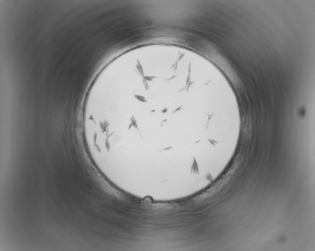 X0000116621436201001221330