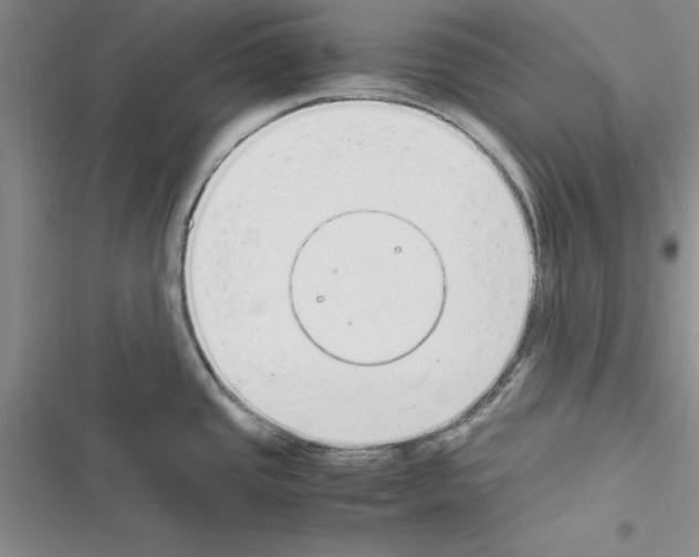 X0000116621437201001221330