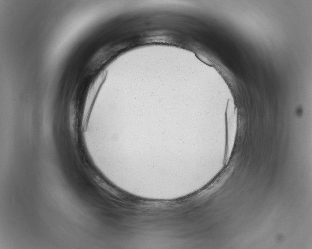 X0000116621438201001221330