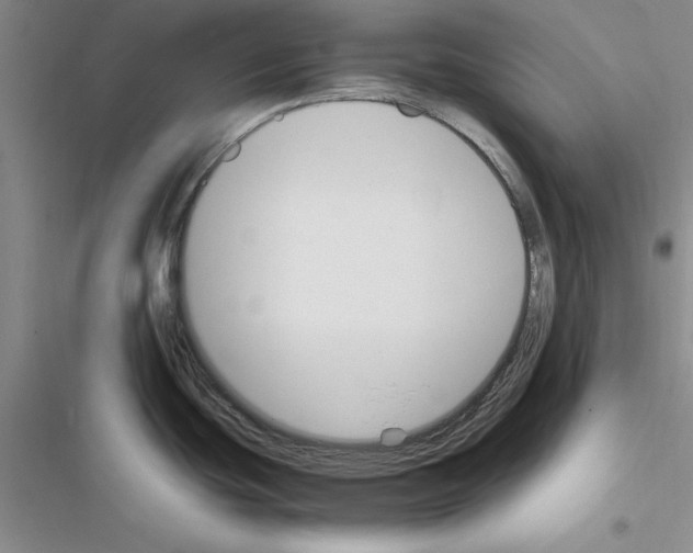 X0000116621439201001221330