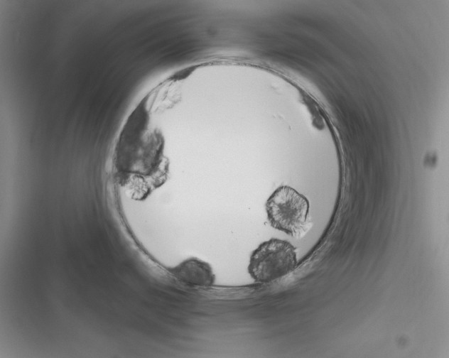 X0000116621440201001221330