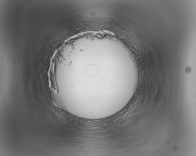 X0000116621441201001221330