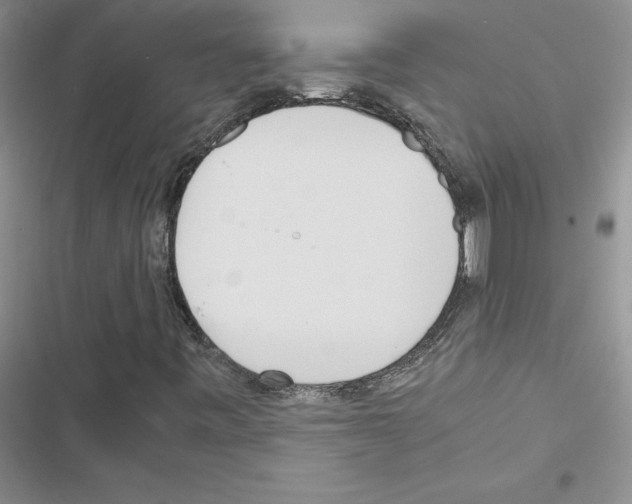 X0000116621443201001221330