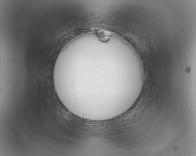 X0000116621444201001221330