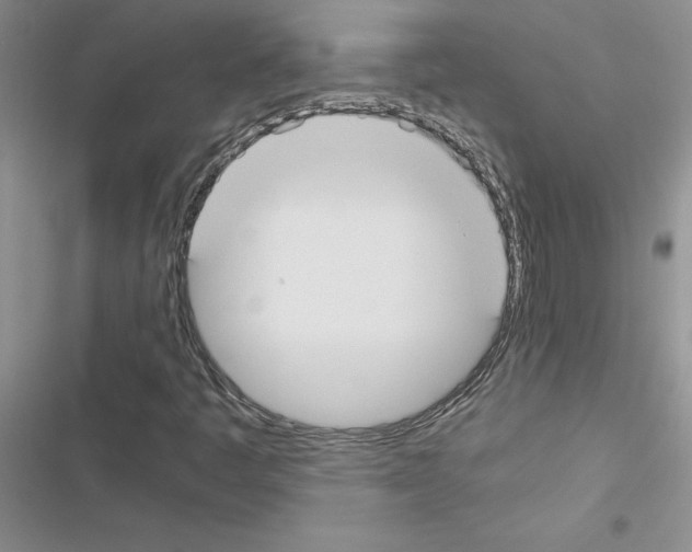 X0000116621445201001221330