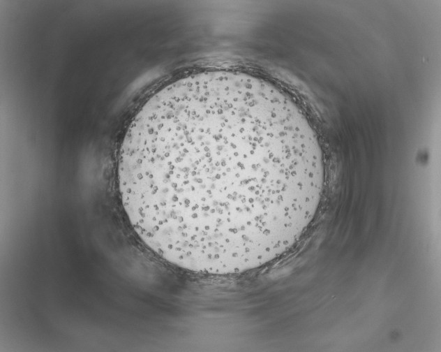 X0000116621446201001221330