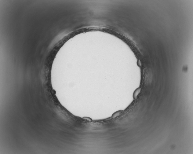 X0000116621448201001221330